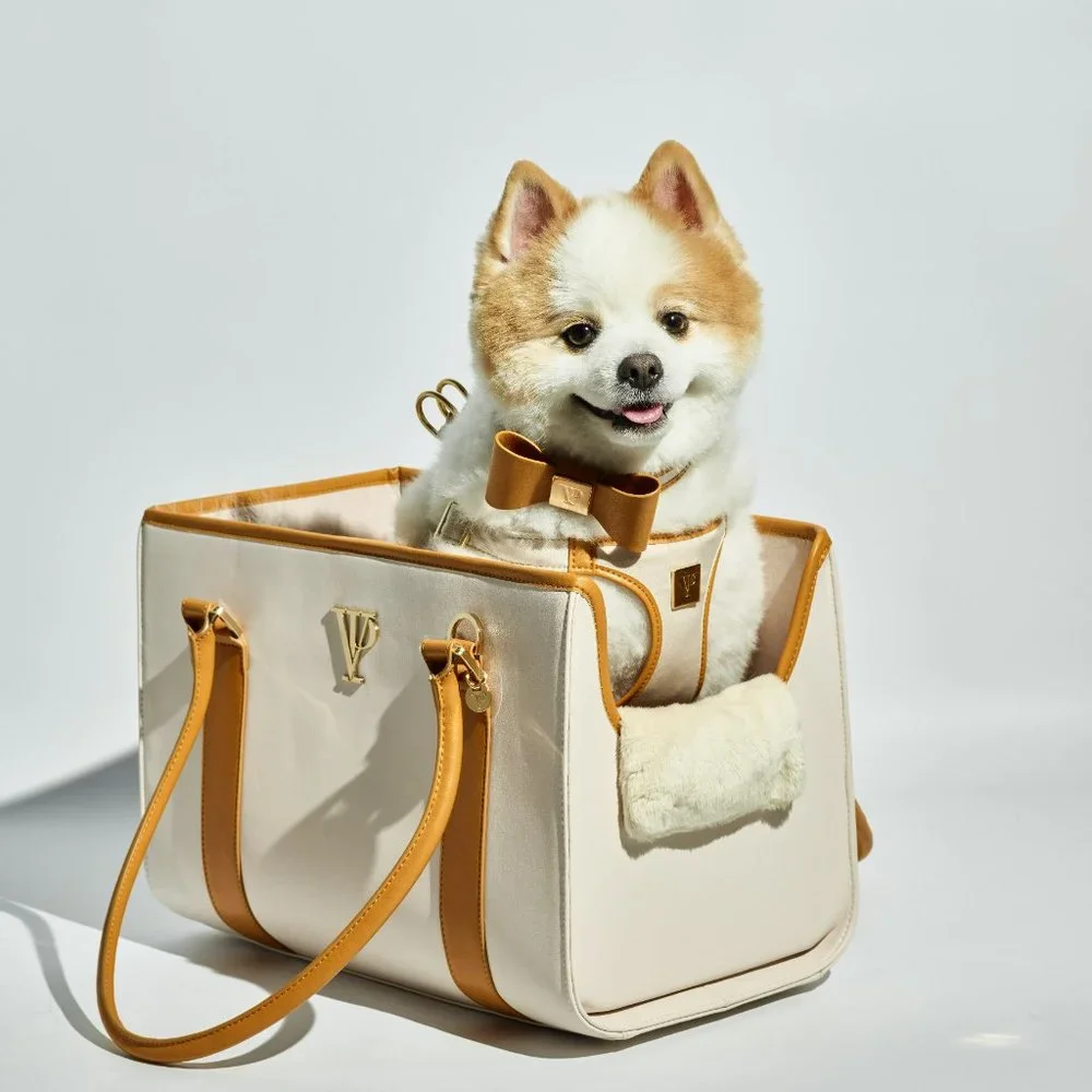 Ivory and Gold Leather Luxury Dog Carrier, Dog Bag, Dog tote for small dogs